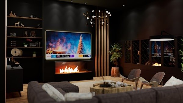 700 Heeta Insert fireplace